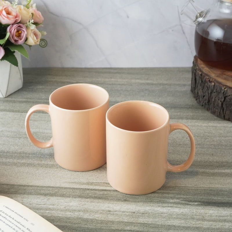 Glossy Finished Ceramic Mug- Set of 2