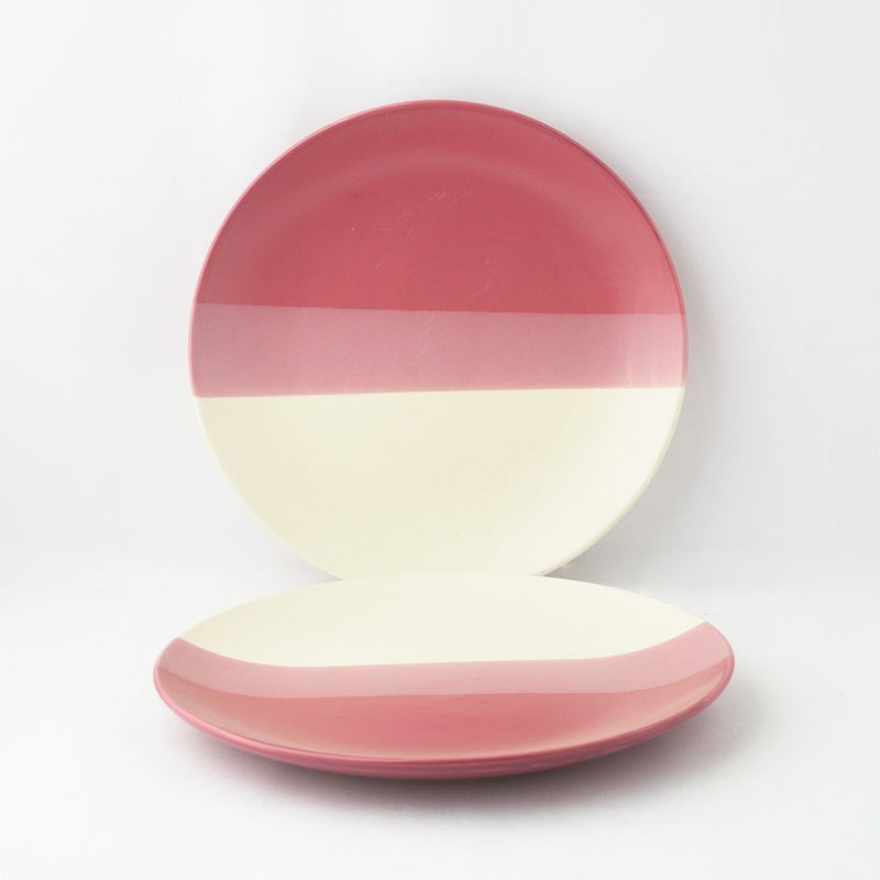  Monochromatic Ceramic Dinner Plates- Set of 2