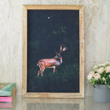 Deer Wildlife Canvas Painting