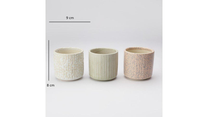 The Decor Mart Tiny Well Textured Handcrafted  Ceramic Planter - Set Of 3 - The Decor Mart 