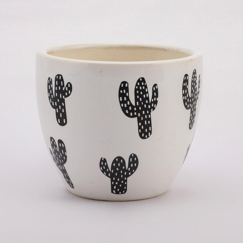 Ceramic Cactus Planter - The Decor Mart 
