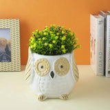 Ceramic Owl Planter- White