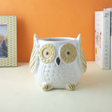 Ceramic Owl Planter- White