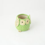 Ceramic Owl Planter- Light Green