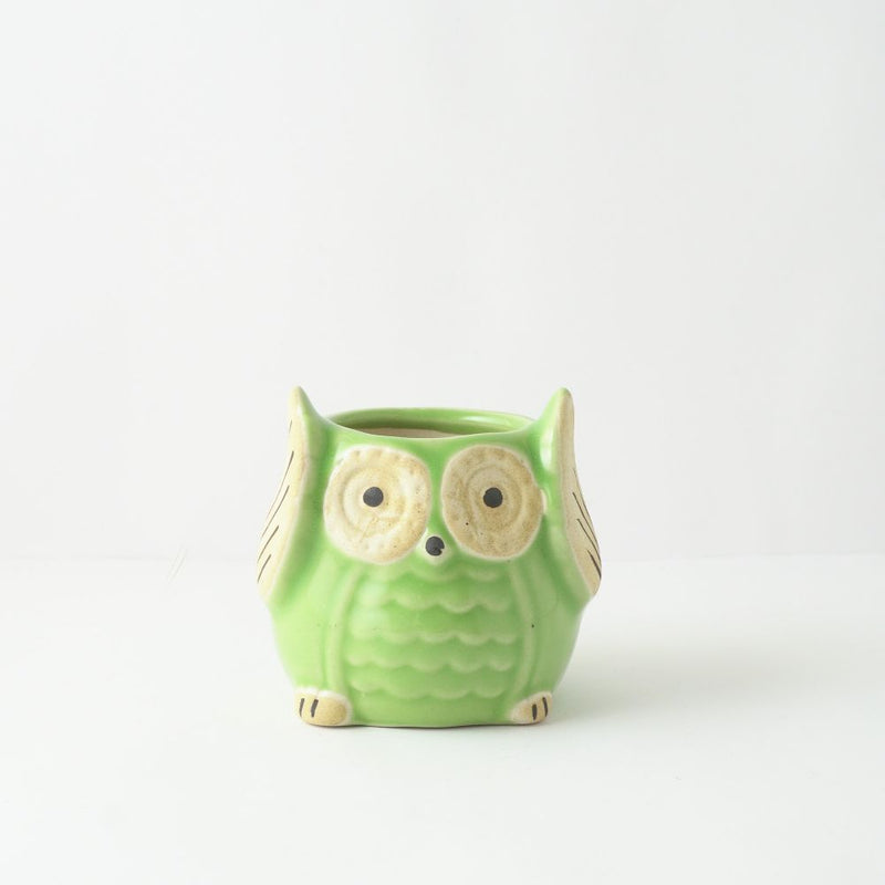 Ceramic Owl Planter- Light Green